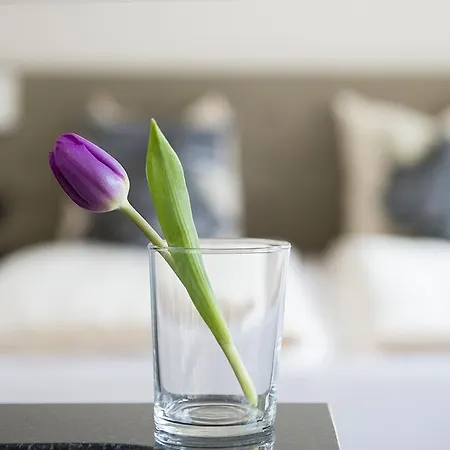 Swiss Star Longstreet - Self Check-in * Zürich