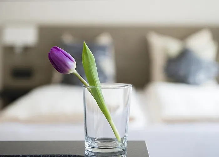 Swiss Star Longstreet - Self Check-in * Zürich